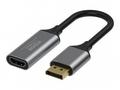 VISION - Video adaptér - DisplayPort s piny (male)