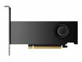 NVIDIA RTX PRO 2000 Blackwell - Grafická karta - R