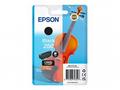 Epson 250 - 5.3 ml - cerná - originální - blistr -