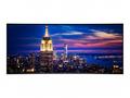 DELL UltraSharp 52 U5226KW, 52" IPS21:9, 6144 x 25