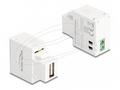 Delock Keystone module - USB adaptér - USB (F) do 