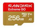 SanDisk Extreme Go - Pametová karta flash - 256 GB