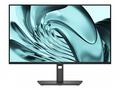 Dell Pro P, P2426H, 24", IPS, FHD, 120Hz, 5ms, Čer
