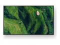 Sony Bravia Professional Displays FW-55BZ35P - 55"