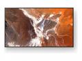 Sony Bravia Professional Displays FW-85BZ30P - 85"