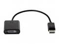 HP DisplayPort To DVI-D Adapter