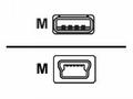 Cisco - Kabel USB - USB (M) do mini-USB typ B (M) 