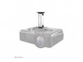 Neomounts BEAMER-C80, Projector Ceiling Mount (hei