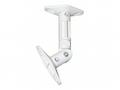 Neomounts SPEAKER-W100, Speaker Wall- & Ceiling Mo