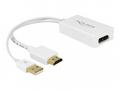 Delock - Nástroj pro převod videa - HDMI, DisplayP