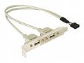 Delock - Panel USB - USB záhlaví 10 pinů (M) do US