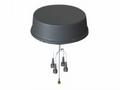 Cisco - Anténa - 5 dBi (for 2.4 - 2.5 GHz), 6 dBi 