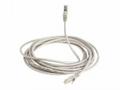 Cisco - Síťový kabel - RJ-45 (M) do RJ-45 (M) - 10