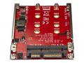 StarTech.com M.2 to SATA Adapter - Dual Slot - for