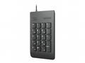 Lenovo klávesnice USB Numeric Keypad Gen II