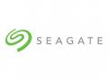 Seagate IronWolf Pro ST4000NE001 - Pevný disk - 4 
