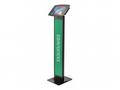 Compulocks iPad 10.2" Space Enclosure Brandable Fl