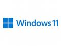 Microsoft Windows 11 Pro 64-bit CZ OEM 1pk DVD (lz