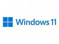 MS Windows 11 Professional for Wrkstns 64Bit Eng I