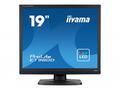 19" LCD iiyama ProLite E1980D-B1 - 5ms, DVI, TN