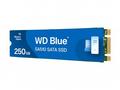 WD Blue SA510 WDS250G3B0B-00AXS0 - SSD - 250 GB - 