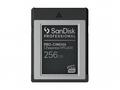 SanDisk Professional - Paměťová karta flash - 256 