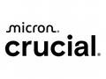 Micron - DDR4 - modul - 16 GB - DIMM 288-pin - 320