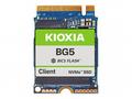 KIOXIA BG5 Series KBG50ZNS512G - SSD - 512 GB - kl