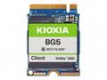 KIOXIA BG5 Series KBG50ZNV1T02 - SSD - 1024 GB - k