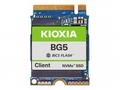KIOXIA BG5 Series KBG50ZNS256G - SSD - 256 GB - kl