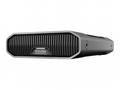 SanDisk Professional - Pevný disk - Enterprise - 1