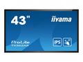 iiyama ProLite T4362AS-B1 - 43" Třída úhlopříčky (