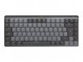 Logitech Master Series MX Mechanical Mini for Mac 