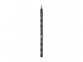 APC NetShelter Rack PDU Advanced - Rozvodná jednot