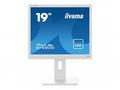 iiyama ProLite B1980D-W5 - LED monitor - 19" - 128