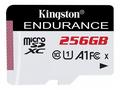 Kingston Endurance, micro SDXC, 256GB, UHS-I U1, C