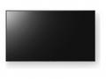 Sony Bravia Professional Displays FW-65BZ35L - 65"