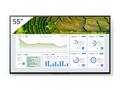 Sony Bravia Professional Displays FW-55BZ30L - 55"
