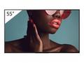 Sony Bravia Professional Displays FW-55BZ40L - 55"
