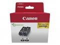 Canon cartridge PGI-35Bk Black (PGI35BK) Twin pack