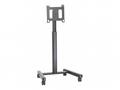 Chief Large Flat Panel Mobile Cart - For Displays 