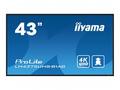 iiyama ProLite LH4375UHS-B1AG - 43" Třída úhlopříč