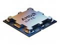AMD EPYC 4244P - 3.8 GHz - 6-jádrový - 12 vláken -