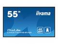 55" iiyama LH5575UHS-B1AG:IPS, 4K UHD, Android, 24