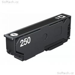 Epson 250 - 5.3 ml - cerná - originální - blistr s