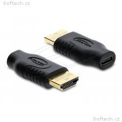 Delock - High Speed - video adaptér - USB-C s piny