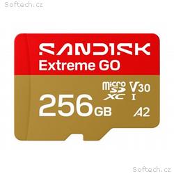 SanDisk Extreme Go - Pametová karta flash - 256 GB
