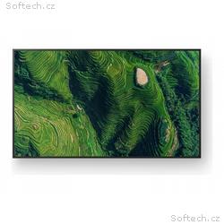 Sony Bravia Professional Displays FW-65BZ35P - 65"