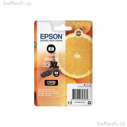 Epson 33XL - 8.1 ml - XL - foto černá - originální
