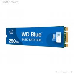 WD Blue SA510 WDS250G3B0B-00AXS0 - SSD - 250 GB - 